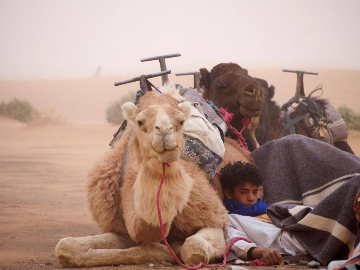 Hotel Kasbah Erg Chebbi à Merzouga Extérieur photo